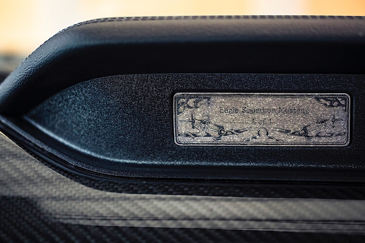 Ford Mustang GT Eagle Squadron  (9)