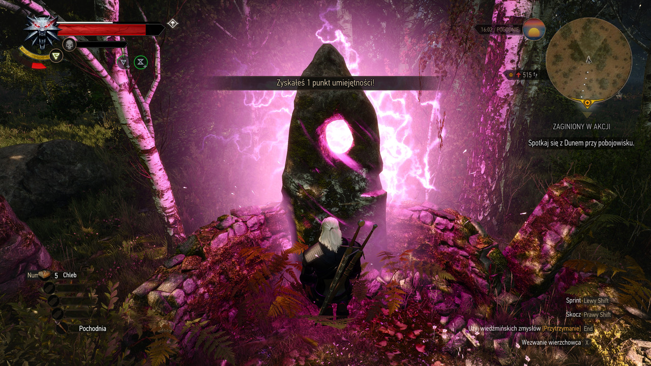 witcher3_2023_01_11_05_58_57_223