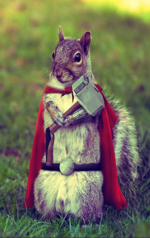 138d5cf81dc63006d8daca45e3bb837b