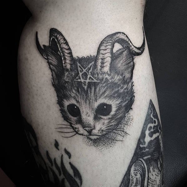 Cats-26