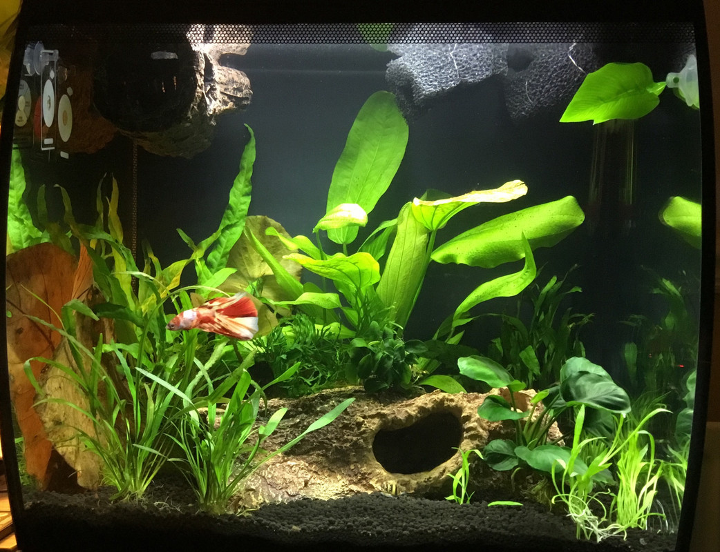 DFC9F471-42F2-4194-B9E2-492200F96D4A