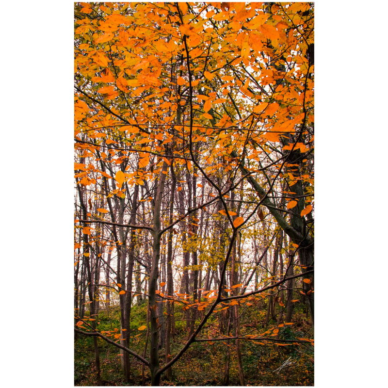 Square Quick 20251122183938359