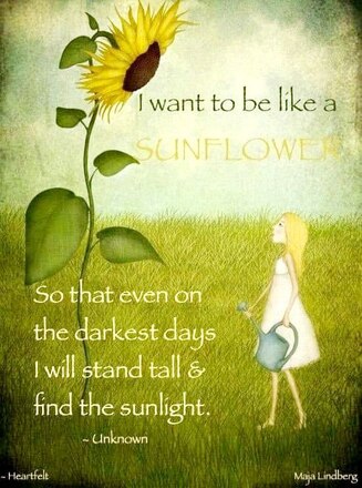 Sunflower-Example