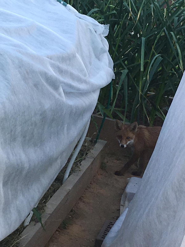 78CF1F2C-6265-4574-901B-1F01C5EDDE54