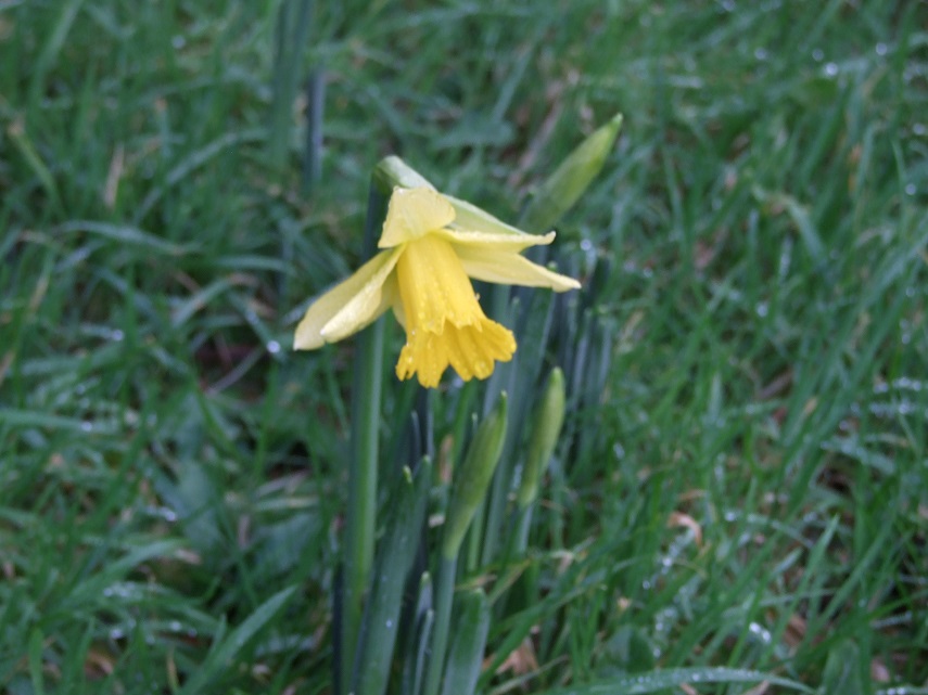 DSCF9476small