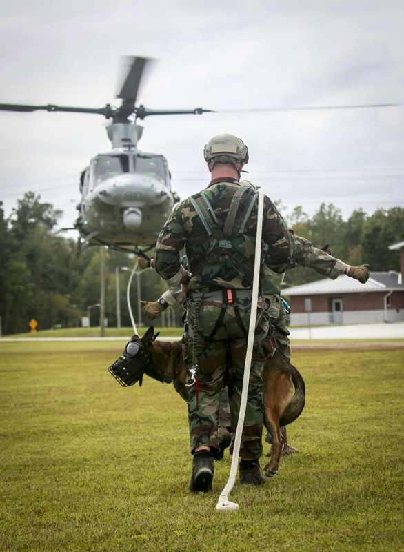 MARSOC K9A7