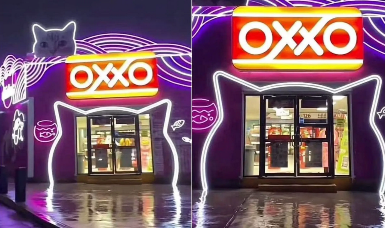 Este “Michi-Oxxo” se volvió viral en redes sociales, ¿dónde se ubica?