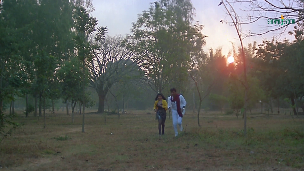 vlcsnap 2025 11 29 08h34m45s123