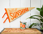 Hello Sunshine Pennant / Kids room decor