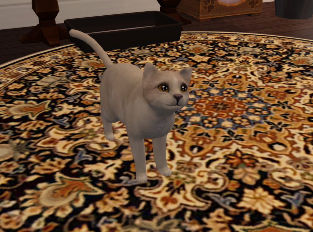 Sims2-EP9-RPC-2022-04-09-17-11-52-19