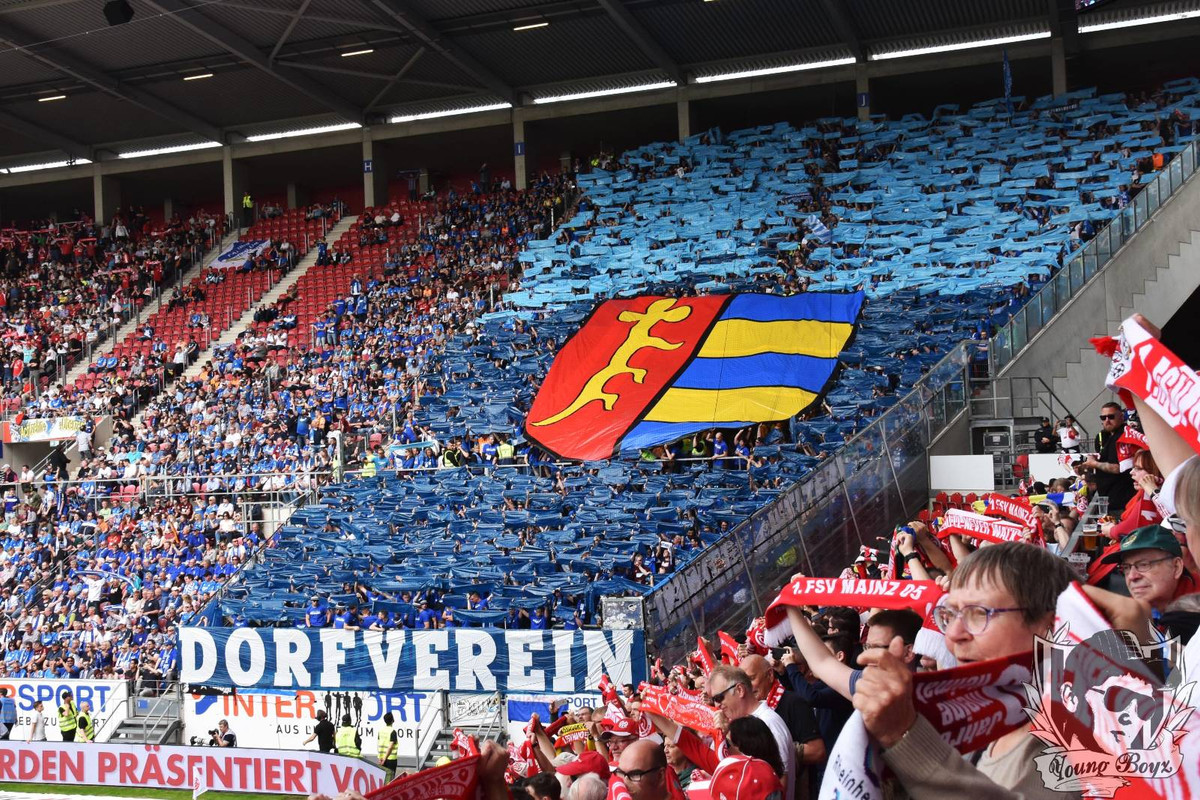 hoffenheim2