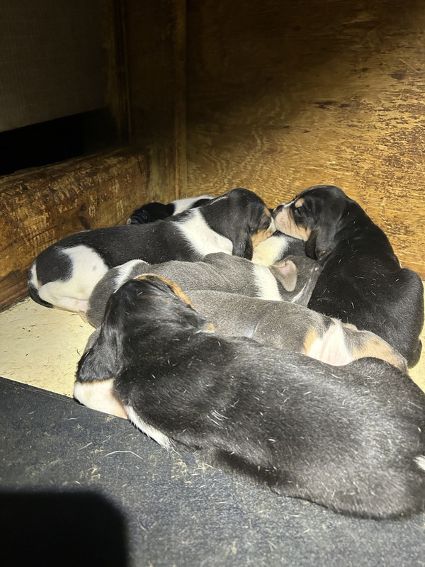 7EC1372D-1A91-422C-9E59-ED592A81640F