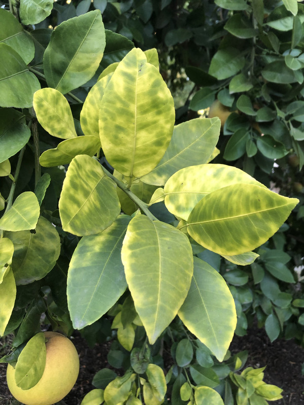 593A743A-9235-4954-8B77-228BDB031779