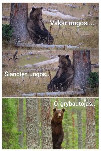 Paveikslėlis