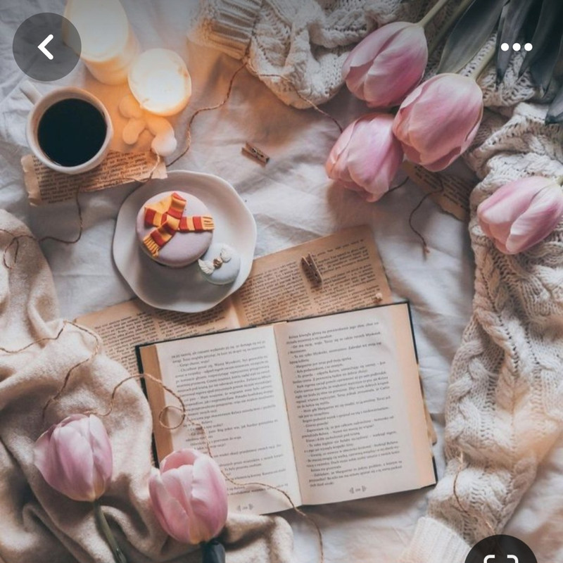 Screenshot_20240428_231203_Pinterest