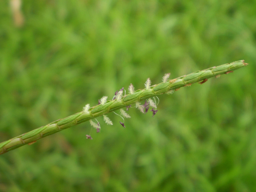 620411_410213992358987_928427606_o