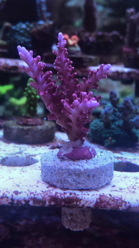 CBAC298F-FBDF-40FD-A5B6-1C638BA878DA