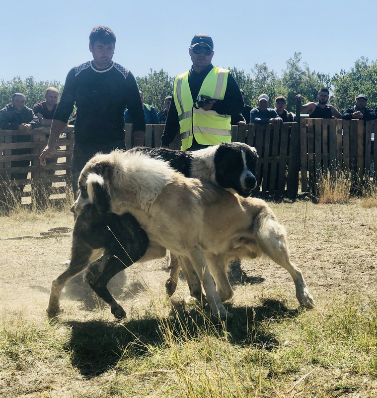 A4083FAD-B6FE-4D98-96F7-D84E496217C5