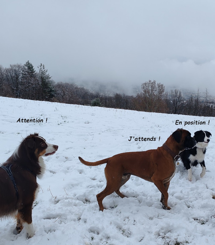 IMG-20260314-150454b