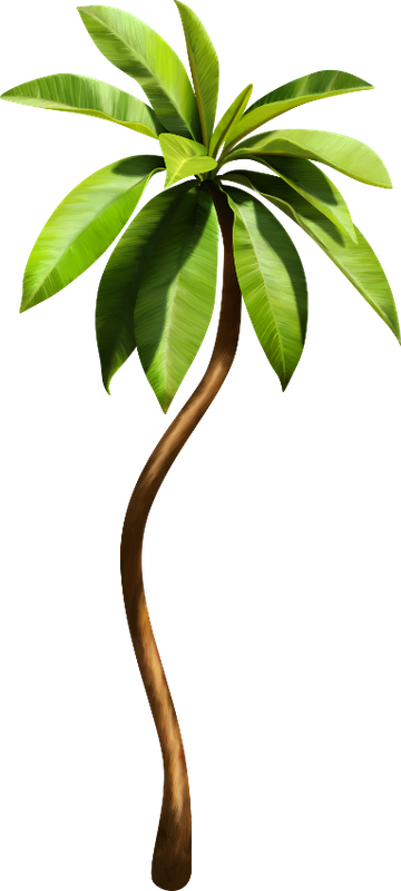 Into The Jungle (130)
