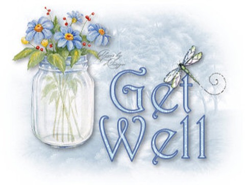 Get_Well_Spring_flowers