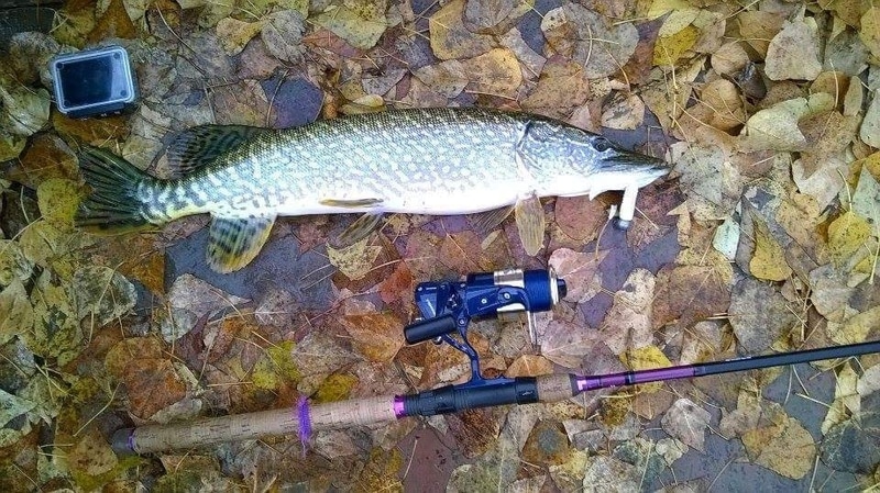 CA914075-DF31-4CD5-A934-FC0BD9611E87