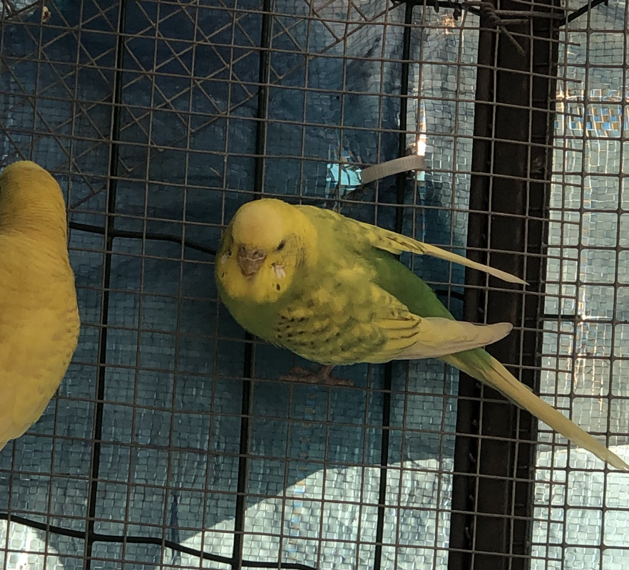 4EC13C7E-A9B6-404E-B118-E9190C0EA5A3