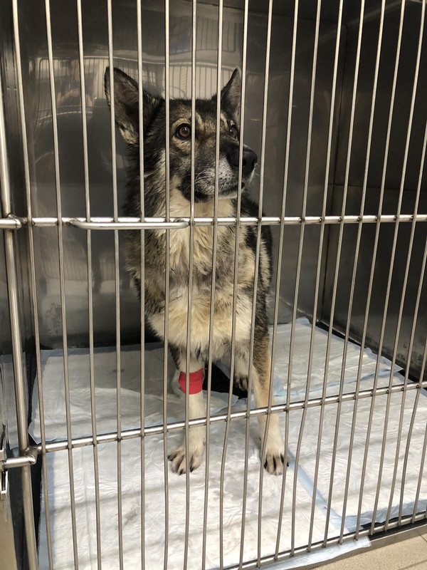 92C29043-2467-43BA-B1FB-115464FDA5BF