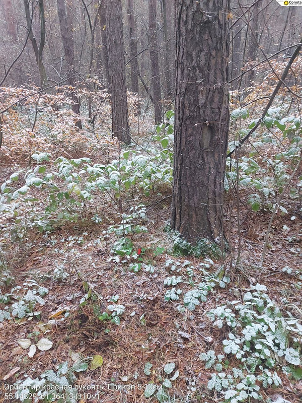 photo_11_2025-10-13_16-59-50