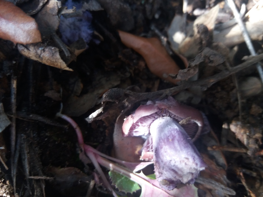 BC22C139-0E70-4902-BC4B-4BA13629C5FA