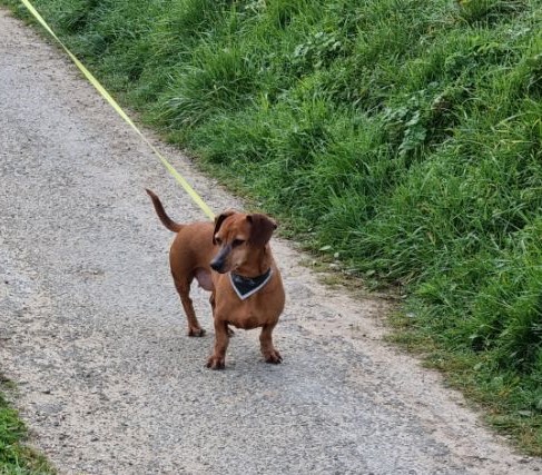 [Image: image000002.jpg]