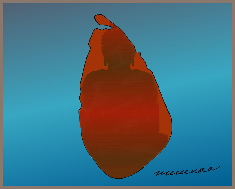 F556-CAE7-F4-EE-485-C-B5-B0-315-C21-CB1-