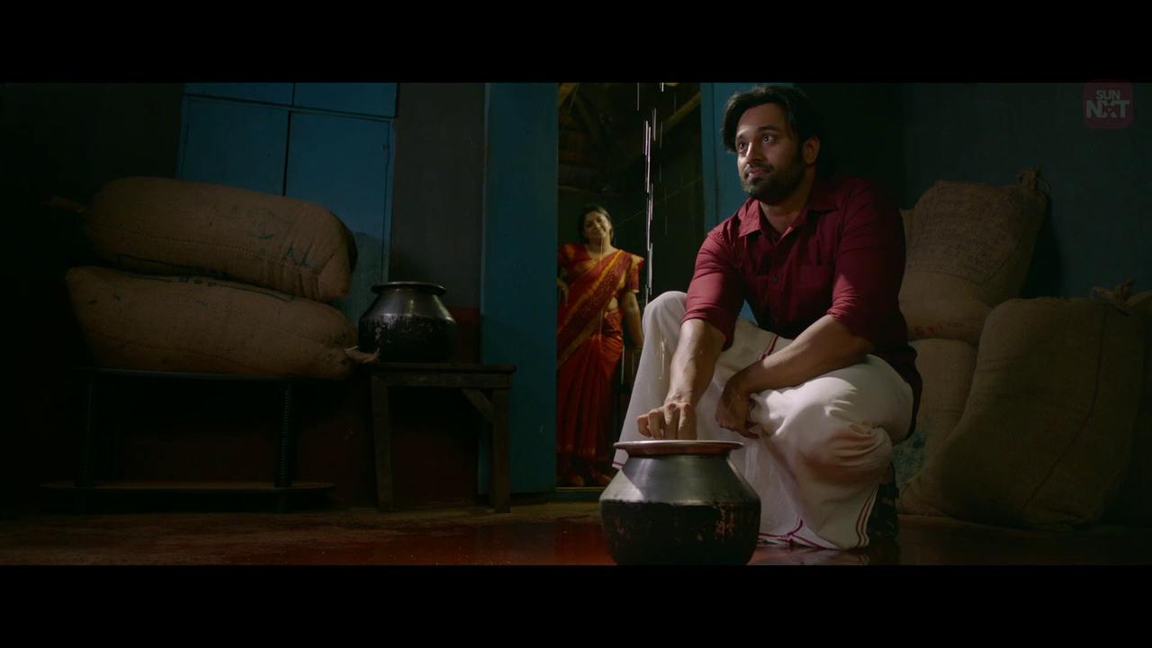 vlcsnap 2026 02 10 19h43m34s730