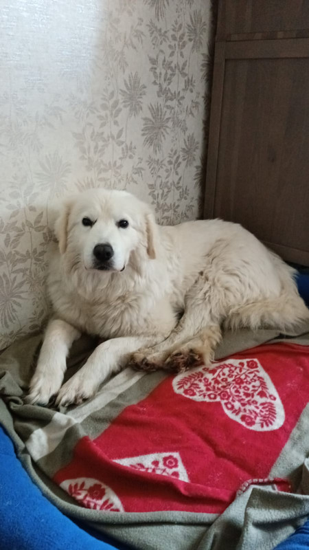 7C1D7CEE-E0AB-4281-A668-7484E7A9B1AA