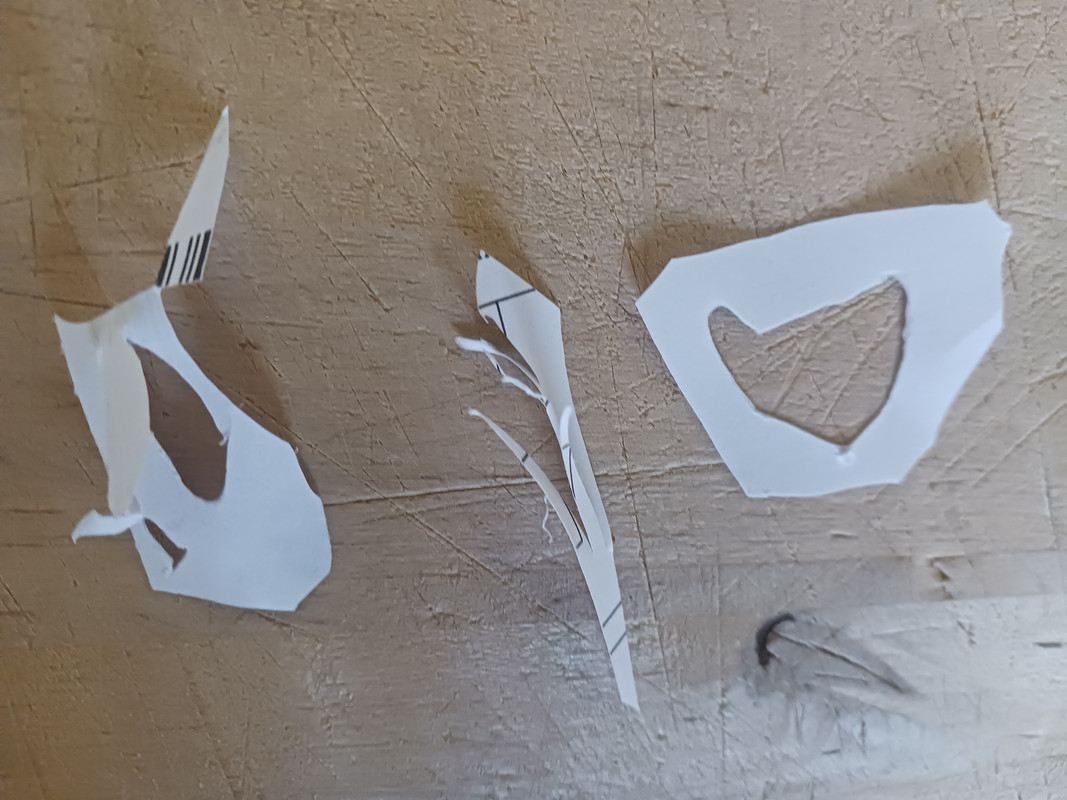 PAPER-CUTS-3.jpg