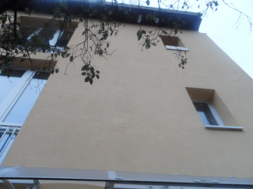 Kép