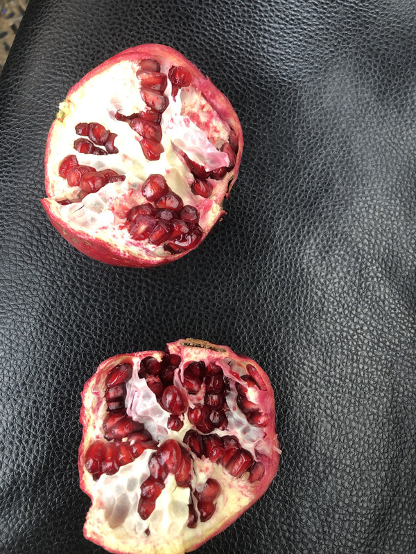 2D4AE06F-8457-4247-AC9C-9E111677C735