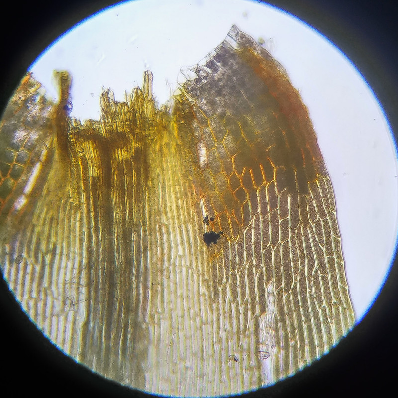 IMG 20250614 112652 HDR