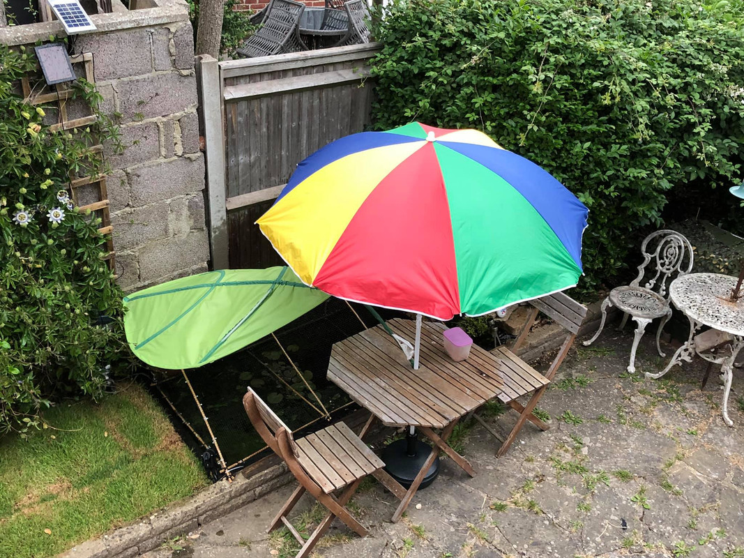 66184163_10157294371492457_2423079347058376704_o (1)