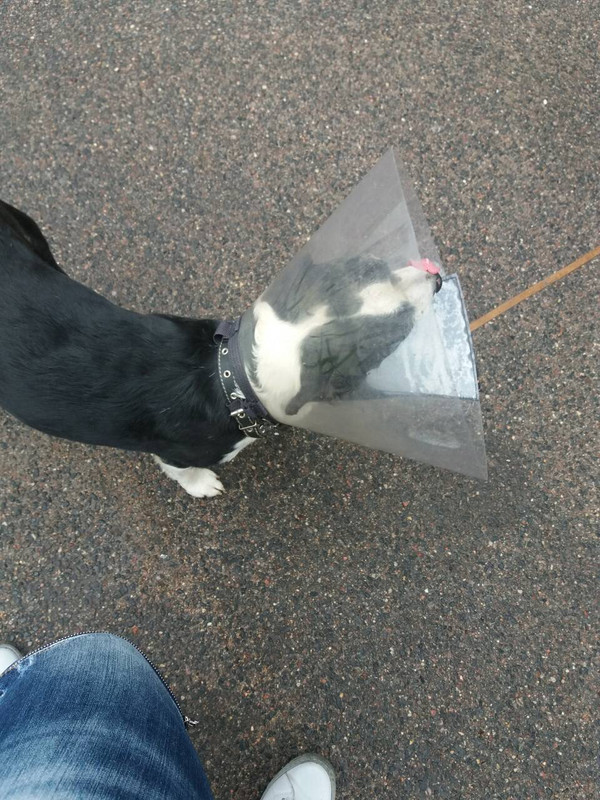 72053DC5-4A54-443B-8E08-B9D4728C6160