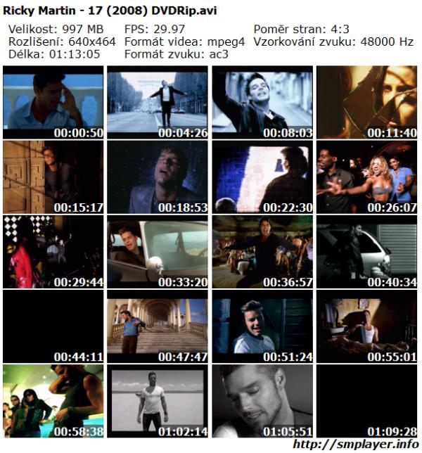 Ricky Martin - 17 (2008)