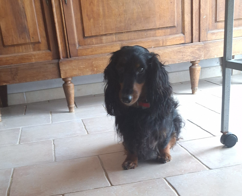 [Image: 20250130-124117.jpg]