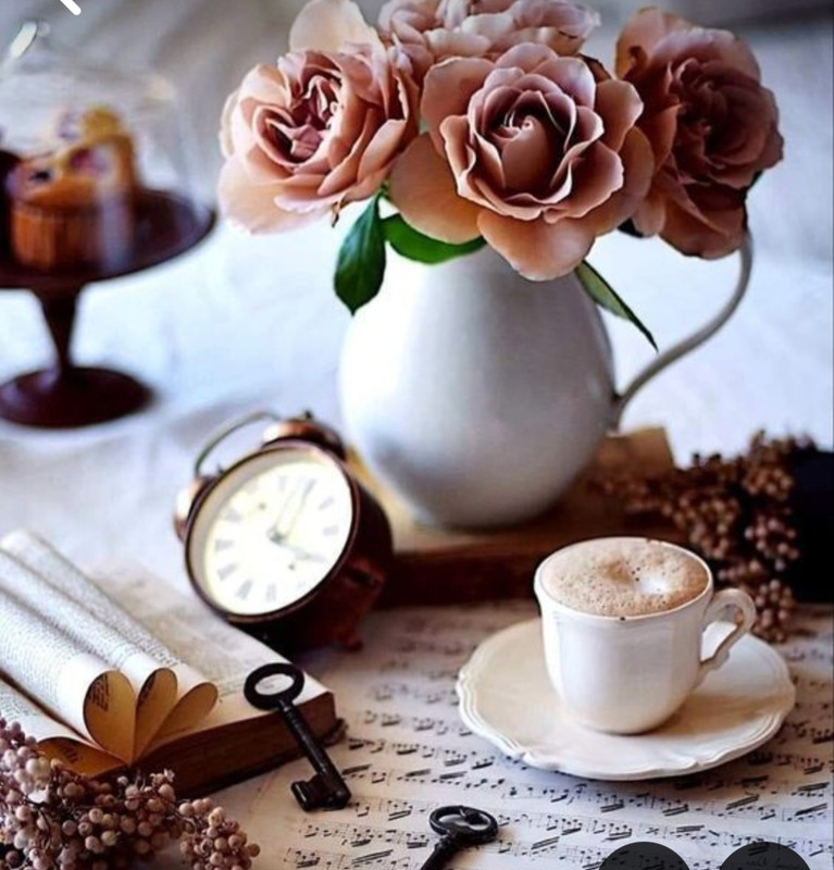 Screenshot_20240712_123833_Pinterest