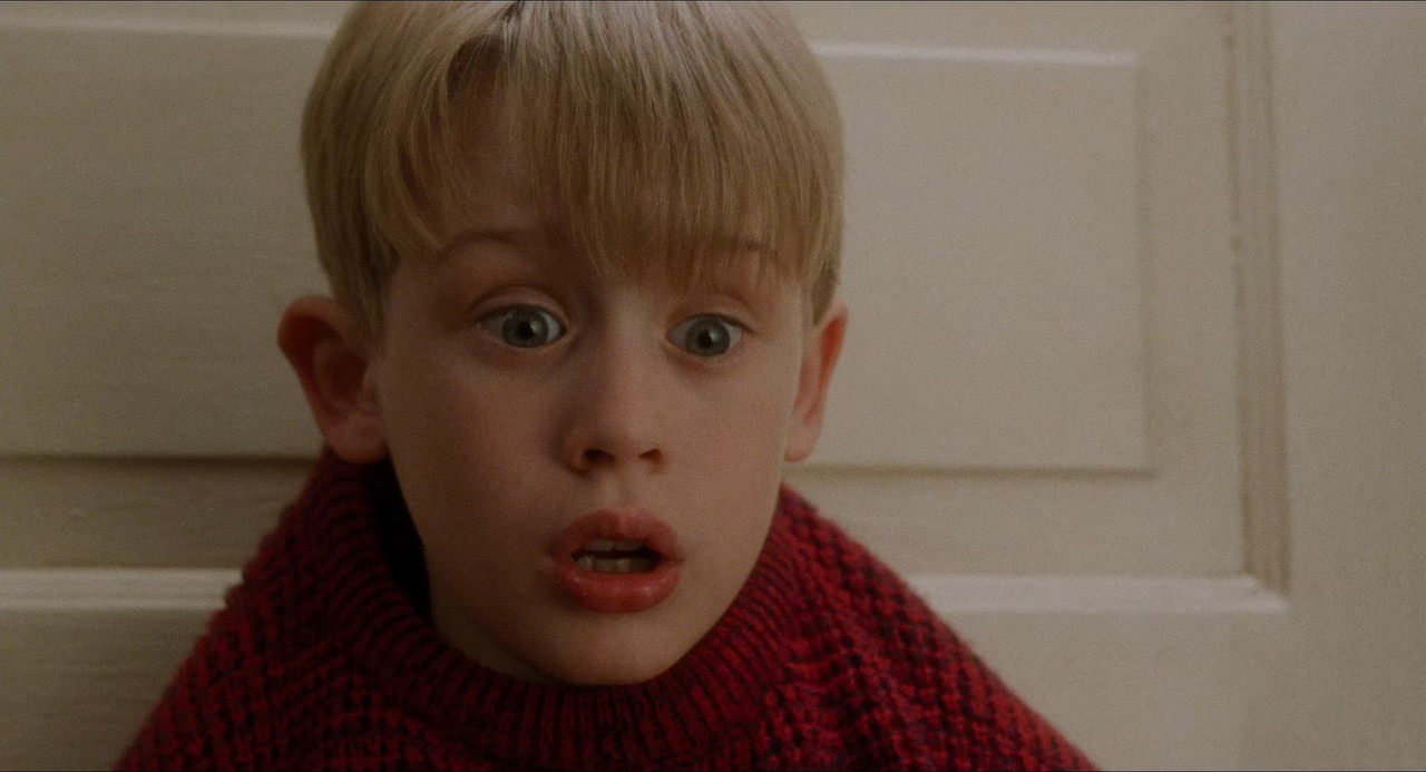 Home Alone 1990 (1080p x265 10bit Tigole).mkv_snapshot_01.29.57_