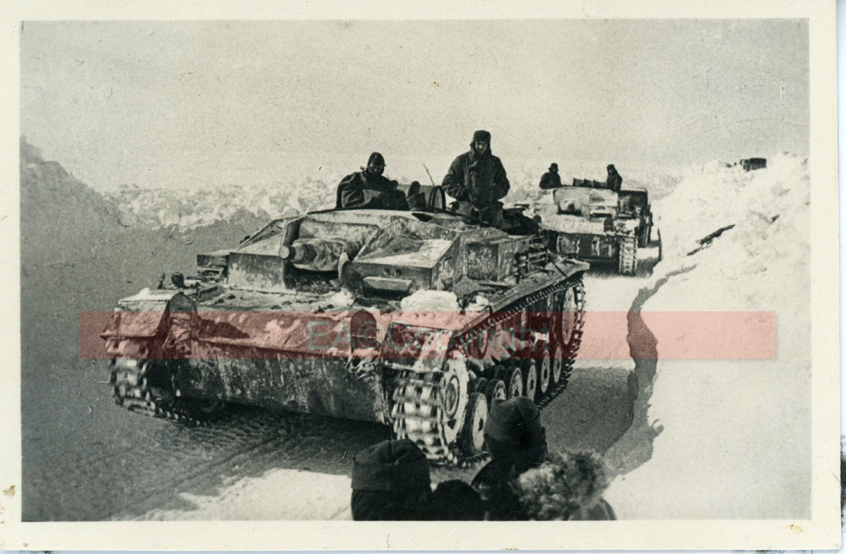 StuG Sturmgeschütz Ausf. E Winterkampf Tarn Camo