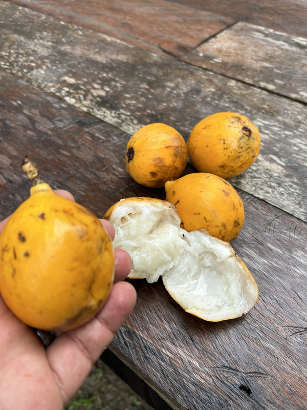 B76B5DD4-3DBB-44FE-9DBC-0FC6D1C78EF6