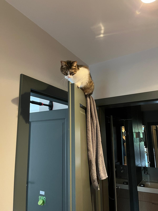 WhatsApp Image 2025-10-22 at 10.23.12