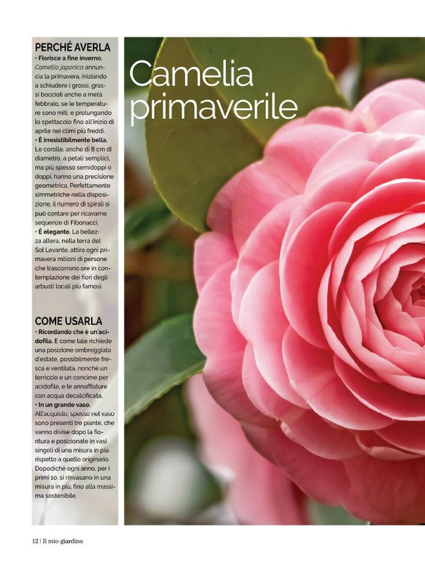 Il Mio Giar Feb-Mar 2022 (3)