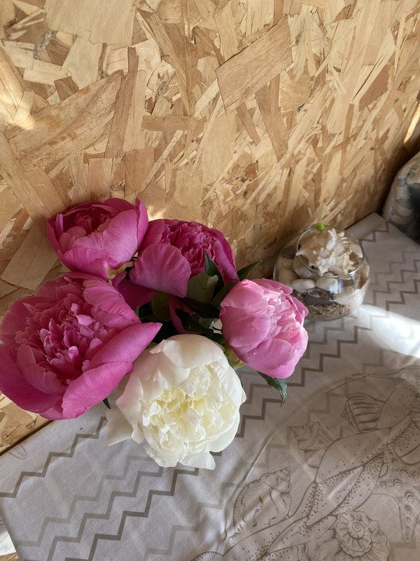 C13C0CBA-9379-4996-BFC6-7E8F9C33AE19