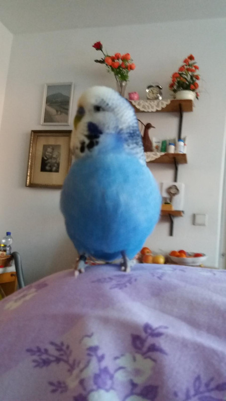 c03afab54002887e7e1d27a1069e206c5caaeb1f3d64c